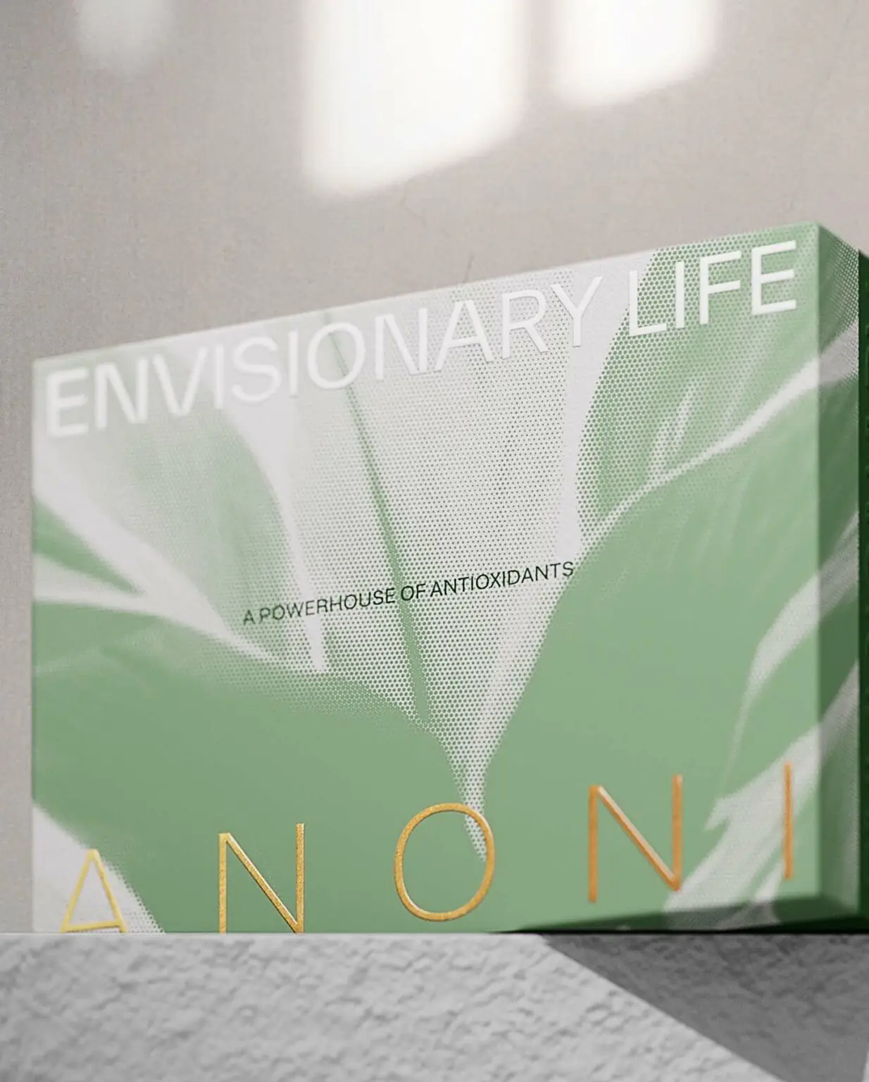 Envisionary Life - Anoni