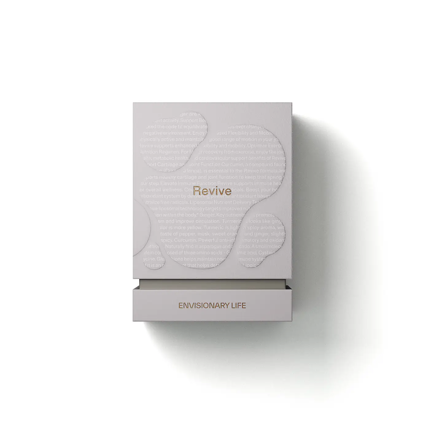 Envisionary Life – Revive (Segarkan)